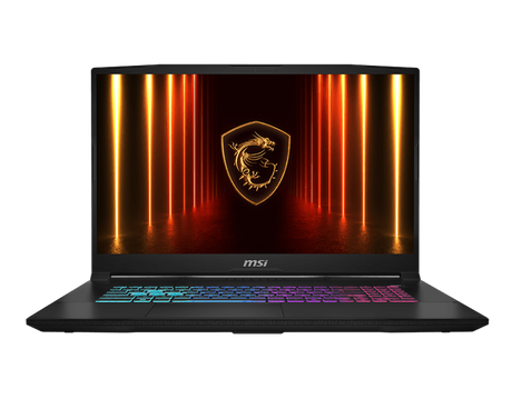Katana 17 HX B14WGK-413ITY | Notebook Gaming