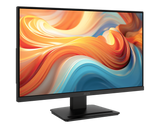 PRO MP241 E14V | MSI Monitor Pro