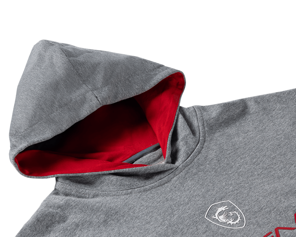 MSI Felpa con cappuccio in cotone True Gamer